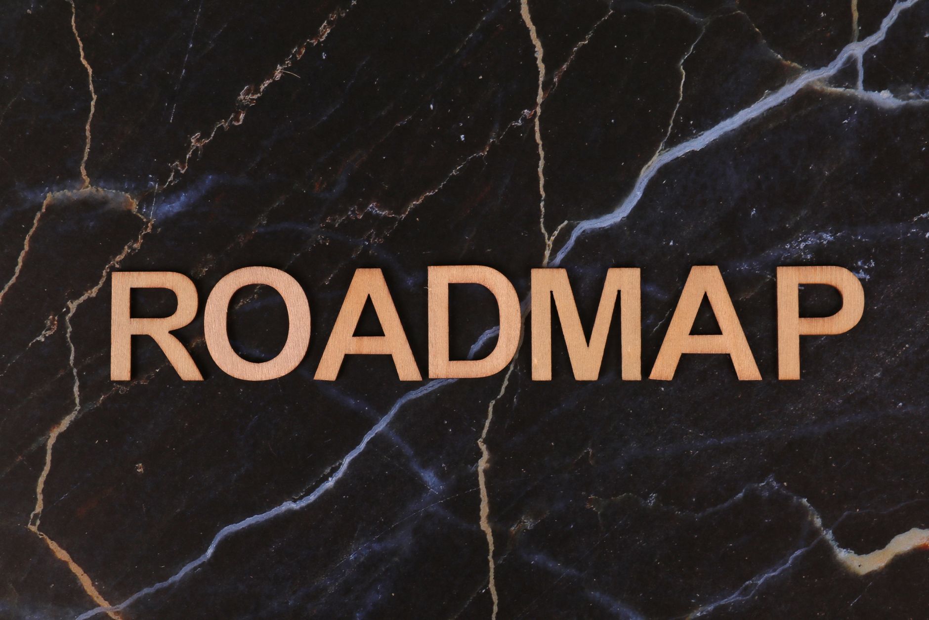 A consulting team presenting a SaaS customer success strategy roadmap to company leadership